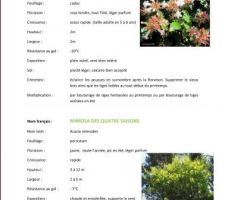 Les plantes du jardin à ce jour....
Fiche 1