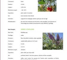 Les plantes du jardin à ce jour....
Fiche 2