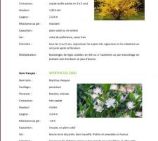 Les plantes du jardin à ce jour....
Fiche 6