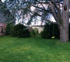 L'int&eacute;rieur cot&eacute; mur en mai 2014