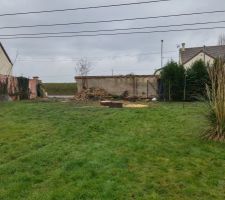 Le terrain sans Cèdre Février 2015