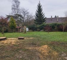 Le terrain sans Cèdre Février 2015