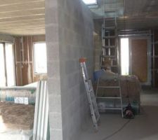 Isolation en cours fourrures et .....