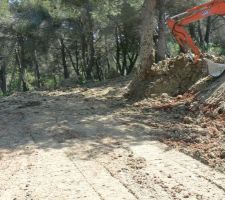 La planche pour l'épendage