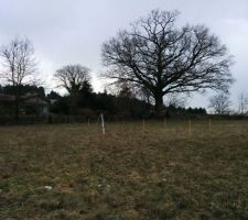 Mise en place des piquets pour l'implantation de la maison