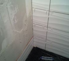 Salle d'eau Chambre parentale en cours de réalisation!!