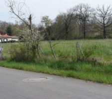 Réservation du terrain