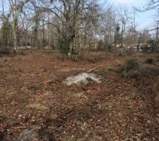 Notre passerelle de terrain