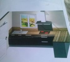 Apercu de la cuisine, les couleurs ne reflettent pas la realitÃ?Â©. En face, nous aurons la partie four, micro ondes, frigo et rangement