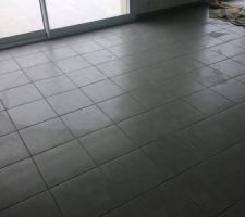 Salon - Salle à manger. La photo fonce mais malgré une météo désastreuse le rendu est très lumineux.