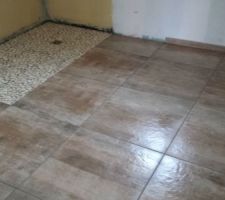 Carrelage sdb