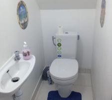 Wc sous l'escalier