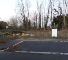 Voil&agrave; on &agrave; couper le sapin qui se trouvait sur le terrain.