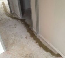 Saign&eacute; d&eacute;placement plafonniers