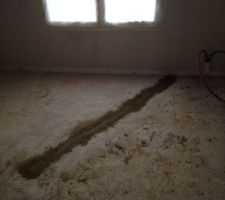 Saign&eacute;e encore