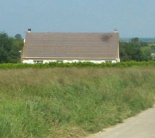 Mon futur terrain vu de gauche