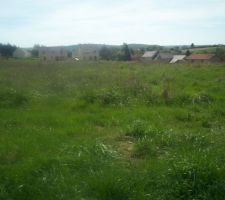 Terrain vu de face ( il n est pas encore borné)