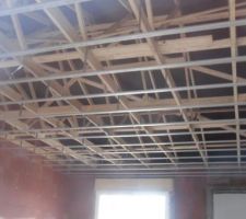 Rail du plafond