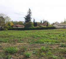 Voici notre morceau de champ (en gros devant la moiti&eacute; droite de la haie).