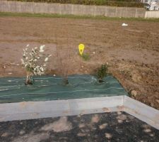 Les compteurs sont mis la cloture bassin aussi.