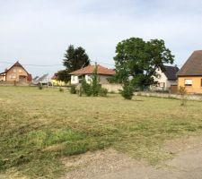 Terrain franchement débroussailler.