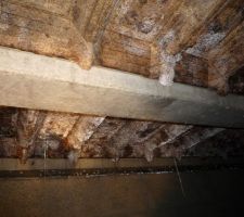 Vide-sanitaire et colonie de champignons avec les hourdis bois qui pourrissent