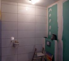 Carrelage salle de bains 1