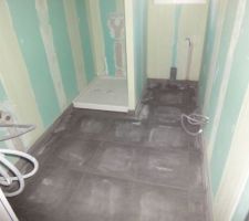 Carrelage (Salle de bain du bas)