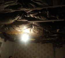 Isolation plafond rdc