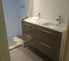 Salle d'eau rdc