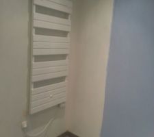 Salle d'eau rdc