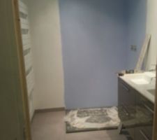 Salle d'eau rdc