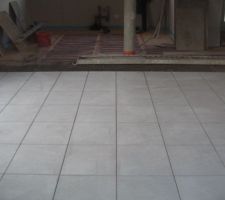 Carrelage de la salle/salon