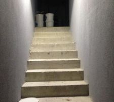 Escaliers de la cave avec des reste de crépis que j'ai eu d'un voisin