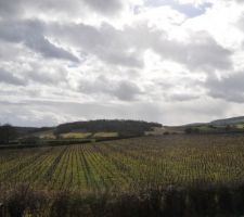 C'est pas tous les jours que l'on ose monter sur les échafaudages ! Du coup hop! des photos de la vue !