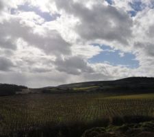 C'est pas tous les jours que l'on ose monter sur les échafaudages ! Du coup hop! des photos de la vue !