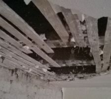 Plafond en lattis plâtre