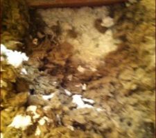 Mélange comblissimo et laine de roche ?