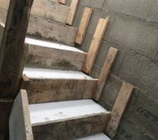 Escalier du garage au sous sole vers la partie habitation &agrave; l'&eacute;tage...un chat est pass&eacute; est &agrave; laiss&eacute; sa trace ;-))