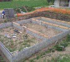 Vide sanitaire
