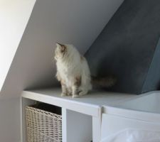 Beton cir&eacute; Mercadier sur les rampants