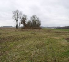 Le fond de notre terrain. Attention! notre terrain s'arr&ecirc;te &agrave; la borne situ&eacute;e sur la gauche (le petit point blanc au milieu &agrave; gauche de la photo)