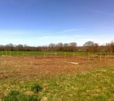 Implantation de la maison