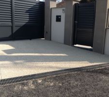 Portail coulissant et portillon d'entrée