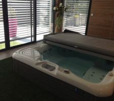 Spa entour&eacute; de gazon synth&eacute;tique et BSO