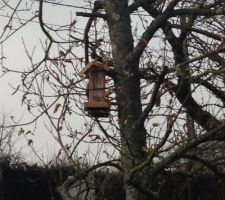 Les oiseaux se r&eacute;galent