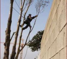 En pleine action, tr&egrave;s d&eacute;licat !!