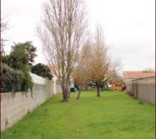 Quelques uns des arbres &agrave; abattre