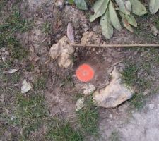 Le coin du terrain "peut &ecirc;tre"