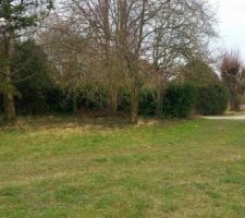 Vue du fond du jardin